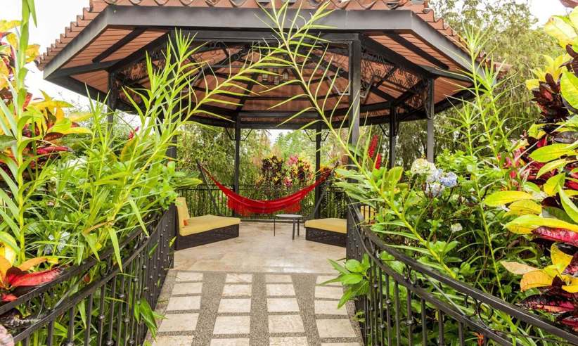 Amazing gardens 