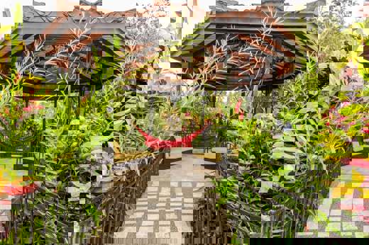 Amazing gardens 