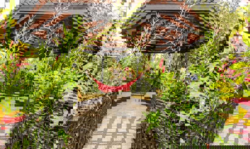 Amazing gardens 