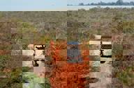 4X4 Excursions Pousada Trijuncao Brazil1880
