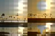 Dsc 06371880