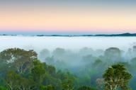 Sunrise Over The Canopy Cristalino Lodge Brazil1880