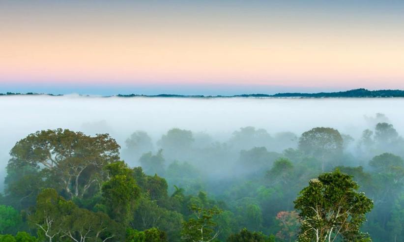 Sunrise Over The Canopy Cristalino Lodge Brazil1880