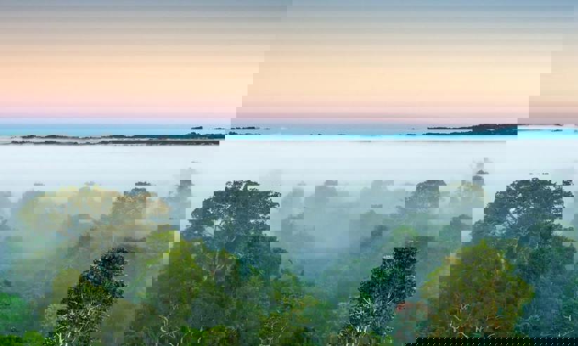 Sunrise Over The Canopy Cristalino Lodge Brazil1880