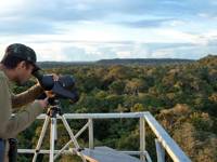 Birdwatcher using a spotting scope on canopy tower overlooking Amazon rainforest at Cristalino Jungle Lodge in Brazil. 