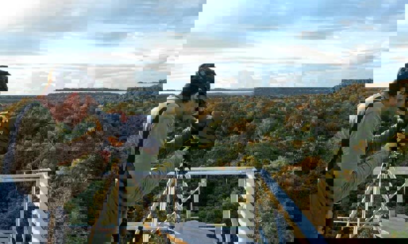 Cristalino Jungle Lodge Canopy Tower With Birdwatcher1880