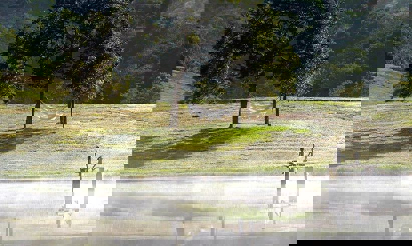 Lake1880