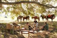 Horseback Riding 