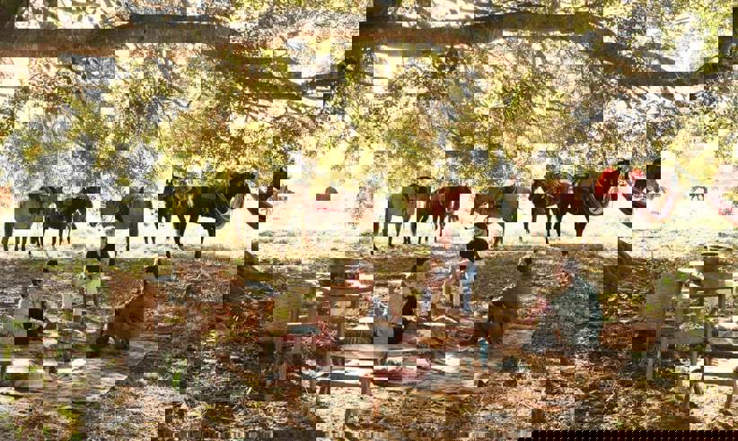 Horseback Riding 