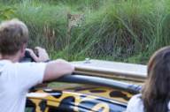 On safari