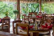 View from the dining room