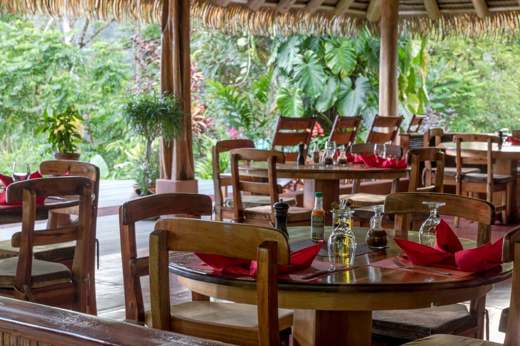 View from the dining room