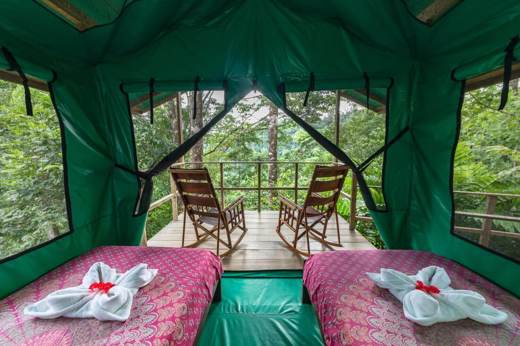 View from a tent