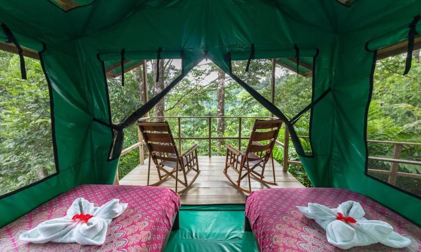 View from a tent