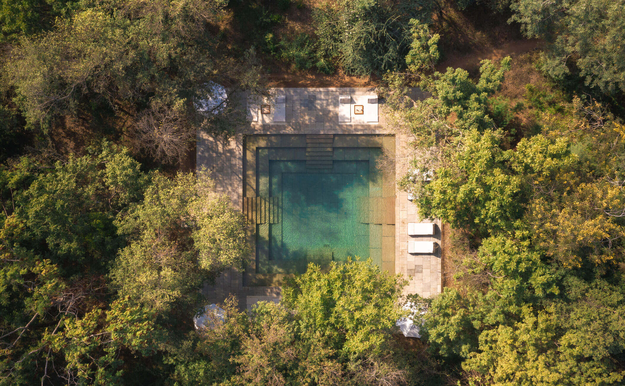Gorgeous swimming pool