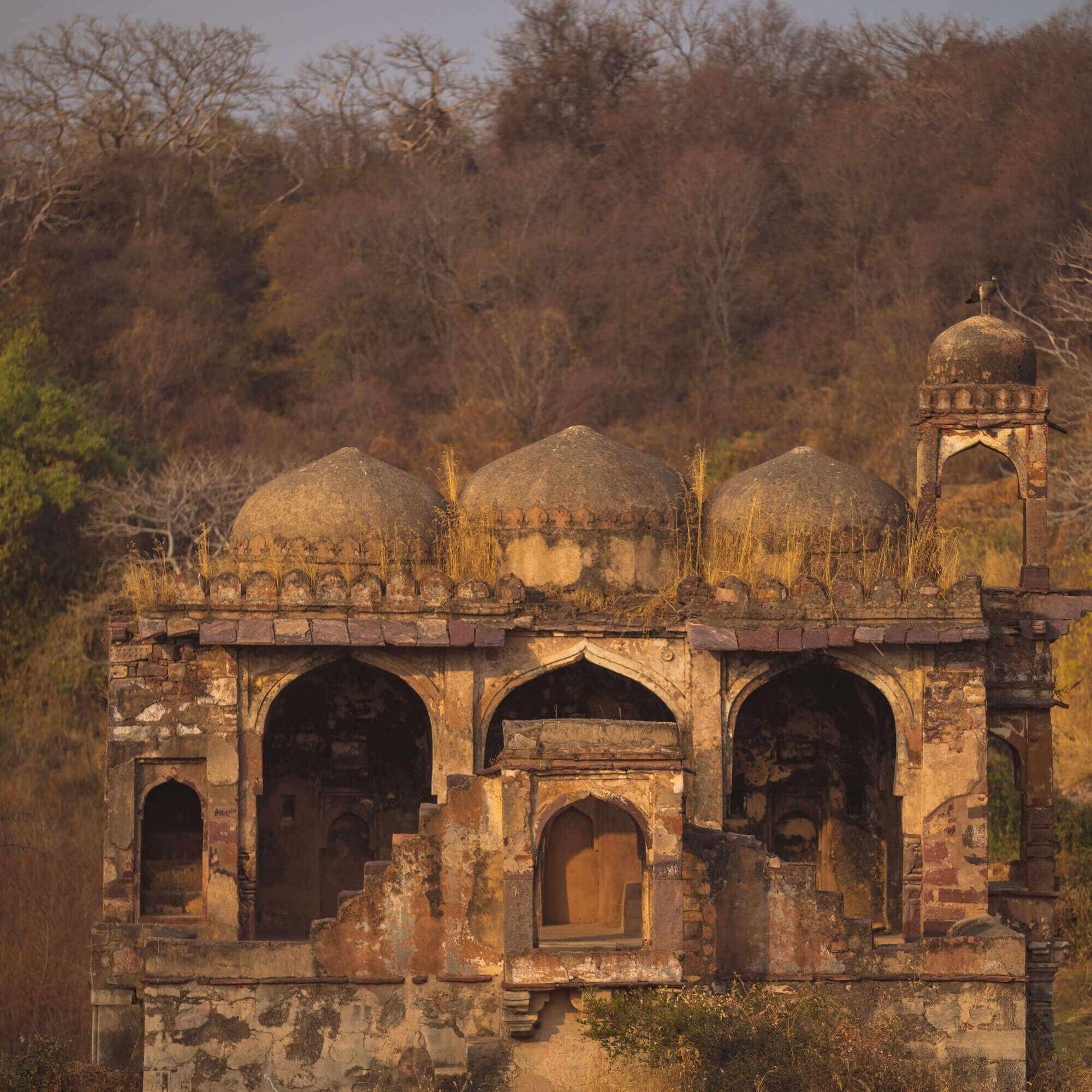 Explore local forts
