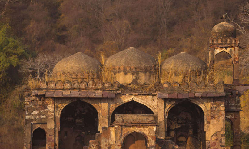 Explore local forts