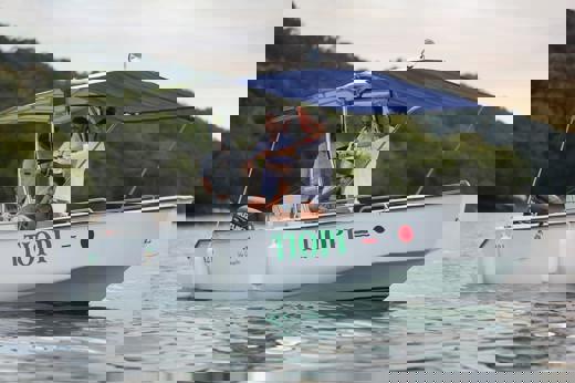 Boat Trip