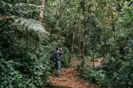 Tourist exploring lush cloud forest trails near Trogon Lodge, San Gerardo de Dota, Costa Rica. 