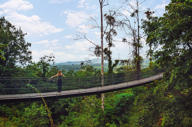 Hanging bridge