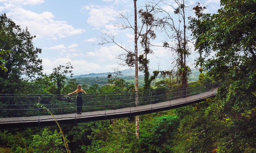 Hanging bridge