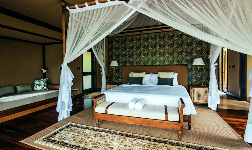 Relax in the rainforest 