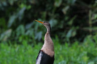 Wonderful birdwatching 