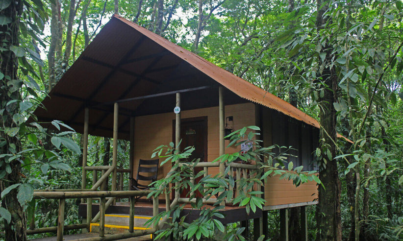 Your home in the rainforest