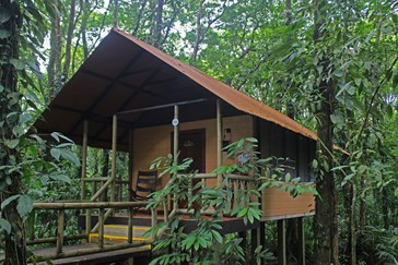 Your home in the rainforest