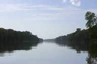 Tortuguero National Park