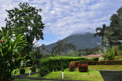 Galeria1
