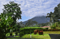 Galeria1