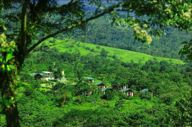 Tenorio Lodge Hotel 12