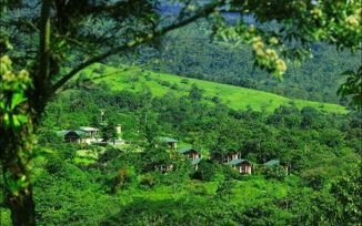 Tenorio Lodge Hotel 12
