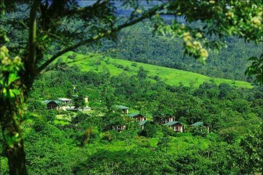 Tenorio Lodge Hotel 12