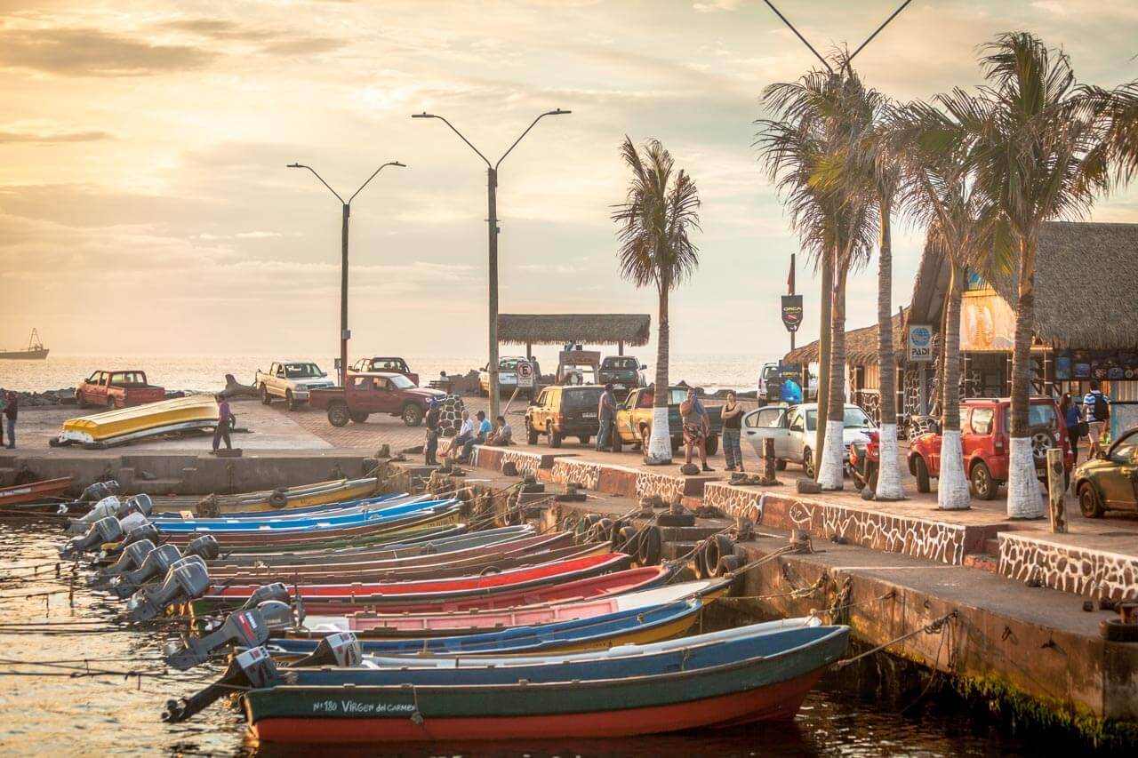 Explore the nearby harbour