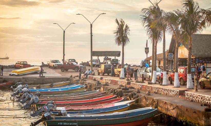 Explore the nearby harbour