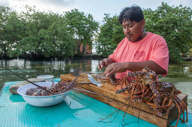 Making lobster
