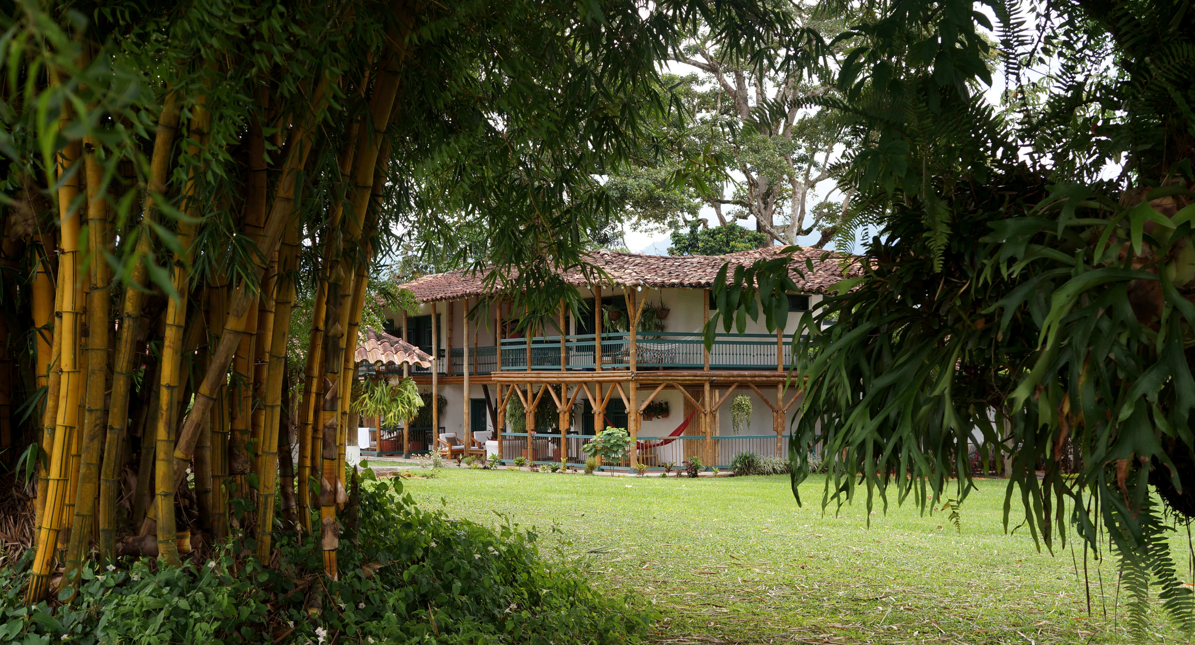 View of the garden