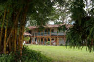 View of the garden