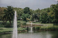 Stunning gardens 