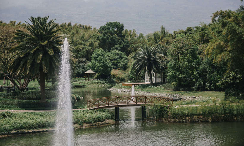 Stunning gardens 