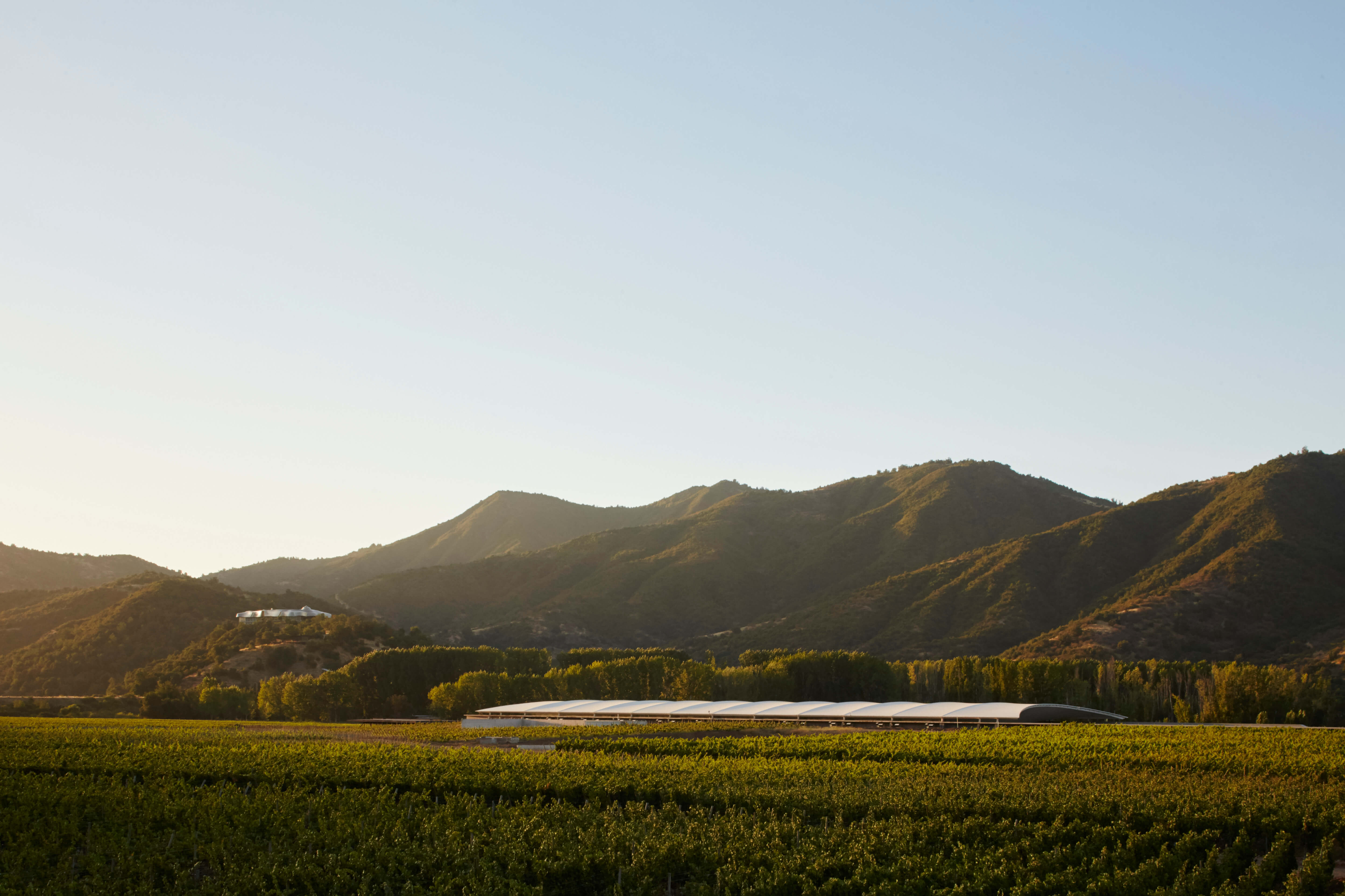 The winery