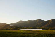 The winery