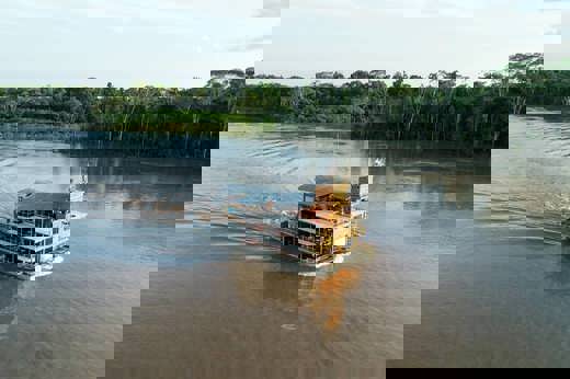 Cruising in the Amazon