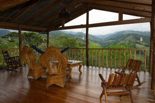 Observe birds from the veranda