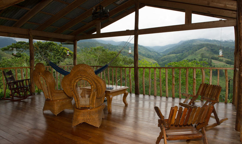 Observe birds from the veranda
