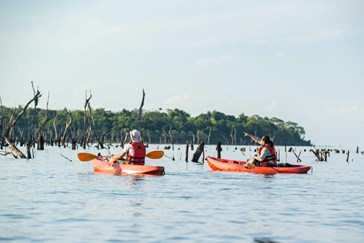 Kayaking on the Parana River 