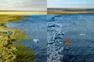 A vast wetlands to explore 