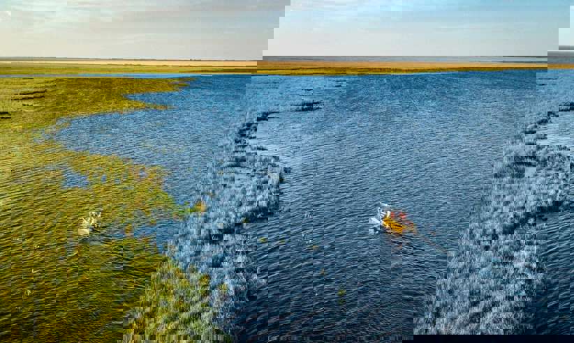 A vast wetlands to explore 